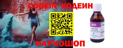 мет Кингисепп