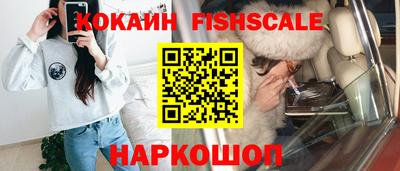 мет Кингисепп