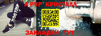 мет Кингисепп