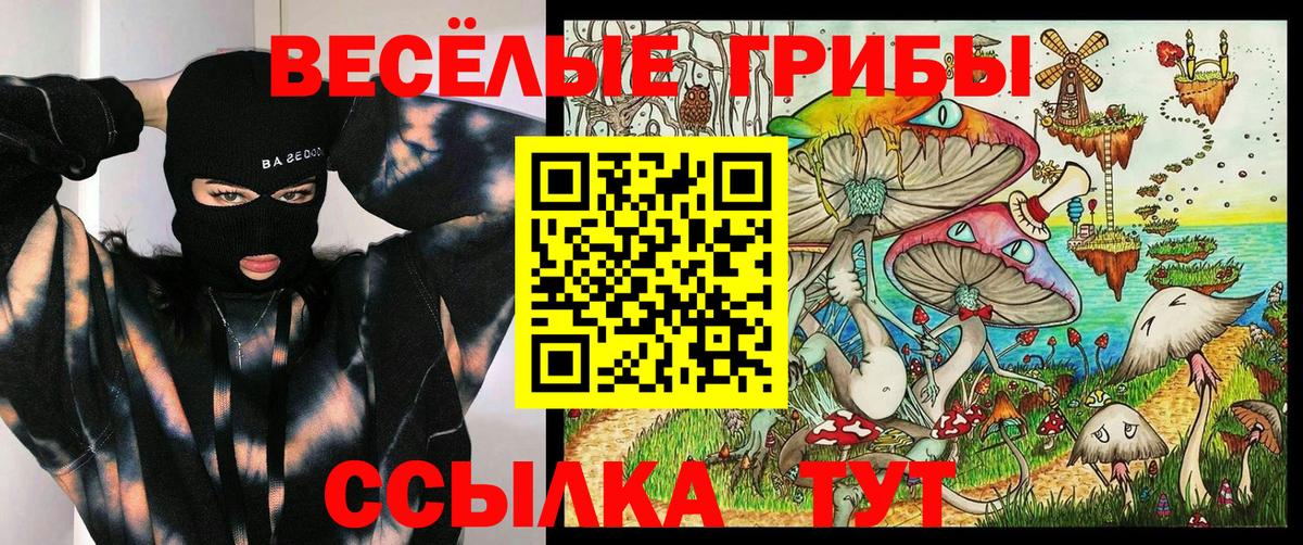 Псилоцибиновые грибы Psilocybe  Вход с VPN  закладка  Крымск 